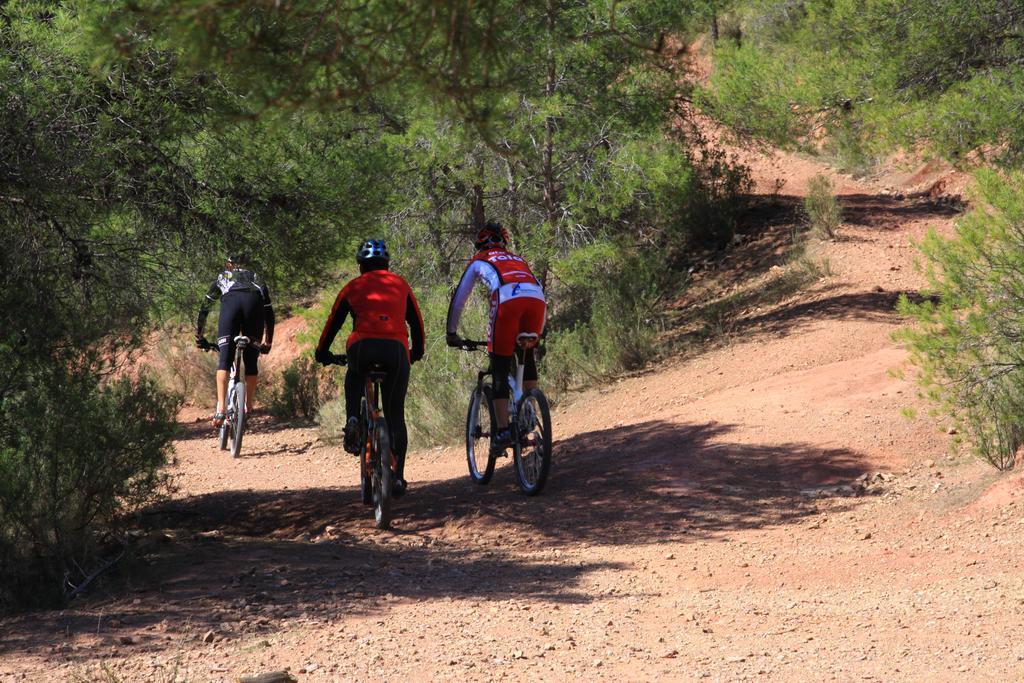 Alojamientos Rurales Cortijo Las Golondrinas Alhama de Murcia Εξωτερικό φωτογραφία