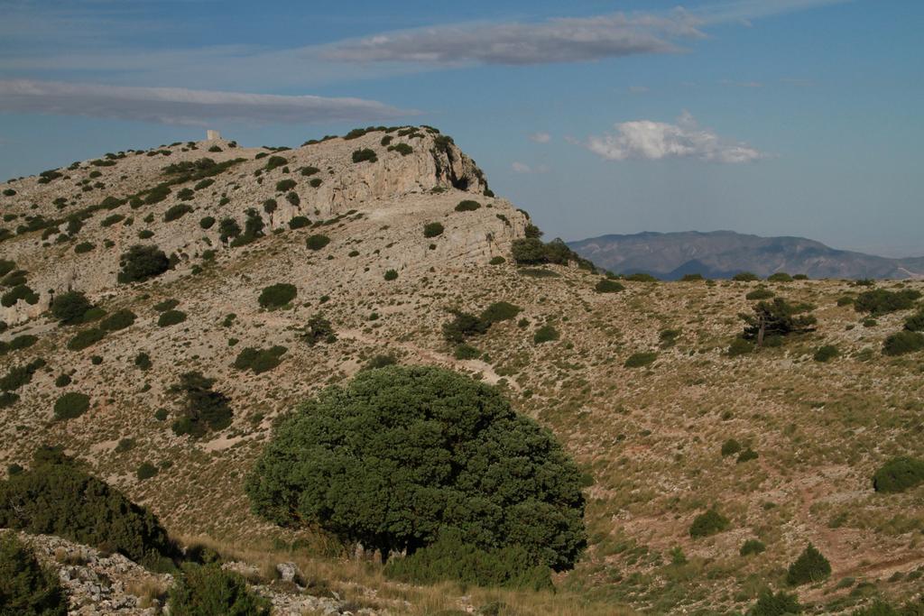 Alojamientos Rurales Cortijo Las Golondrinas Alhama de Murcia Εξωτερικό φωτογραφία