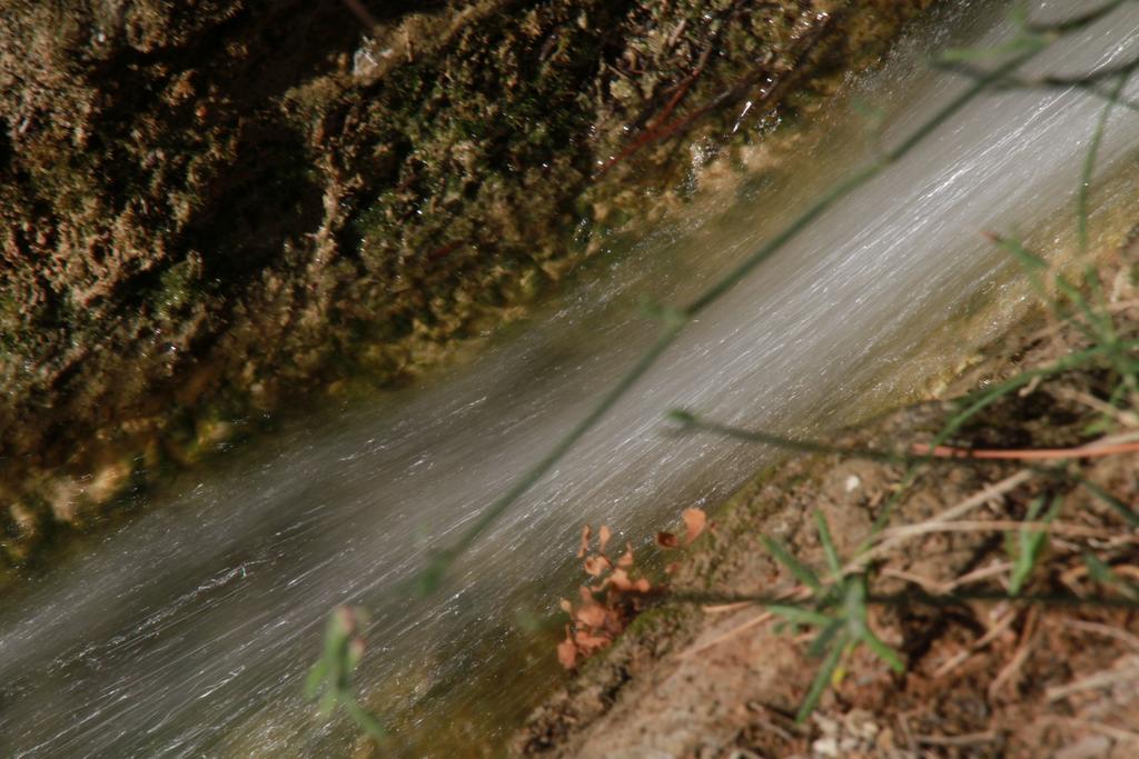 Alojamientos Rurales Cortijo Las Golondrinas Alhama de Murcia Εξωτερικό φωτογραφία