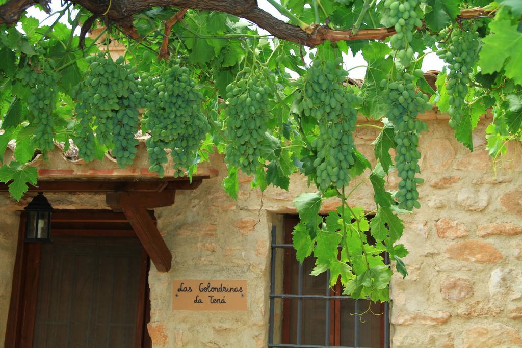 Alojamientos Rurales Cortijo Las Golondrinas Alhama de Murcia Εξωτερικό φωτογραφία