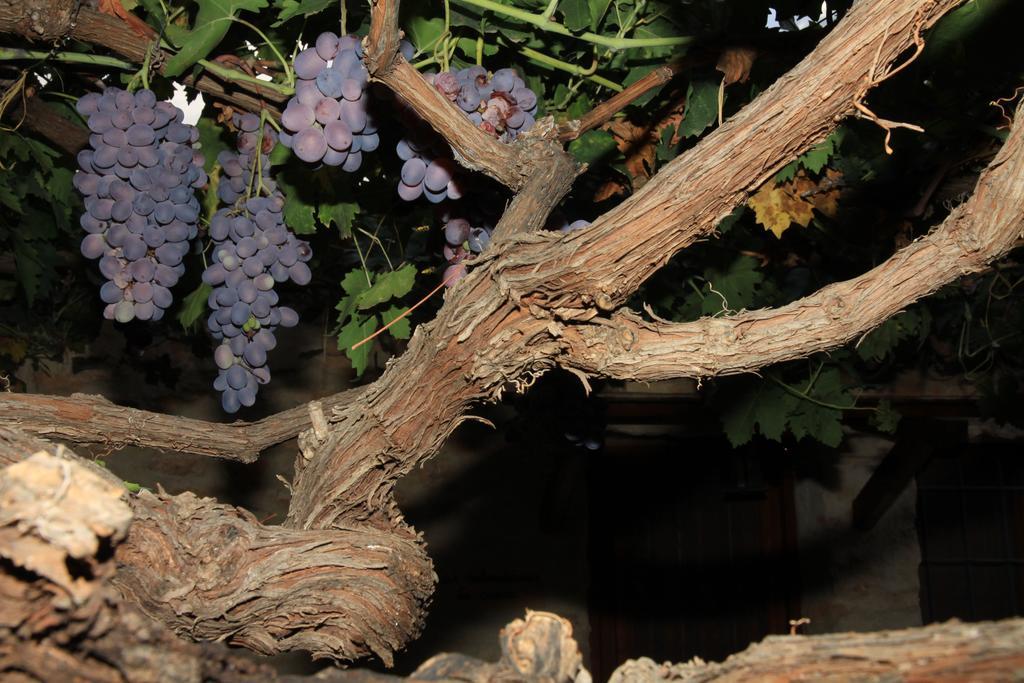 Alojamientos Rurales Cortijo Las Golondrinas Alhama de Murcia Εξωτερικό φωτογραφία